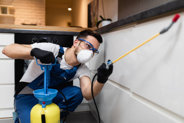 Best Affordable Pest Control Services  in Plantsville, CT