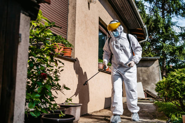Best Flea Control Services  in Plantsville, CT