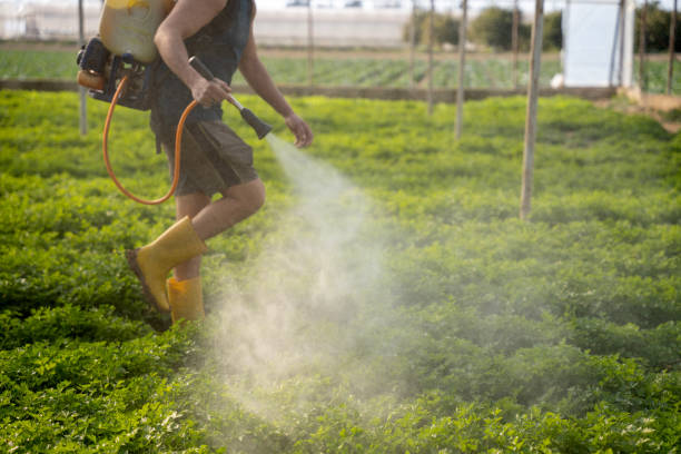 Best Pest Control for Restaurants  in Plantsville, CT
