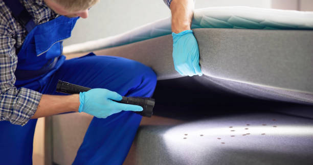 Best Residential Pest Control  in Plantsville, CT
