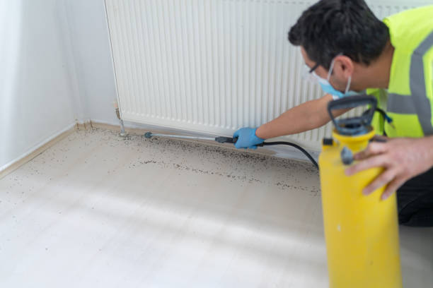 Best Emergency Pest Control  in Plantsville, CT